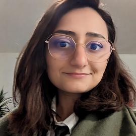 Sayeh Gholipour Picha