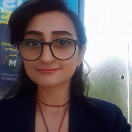Sayeh Gholipour Picha